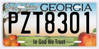 GA license plate PZT8301