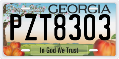 GA license plate PZT8303