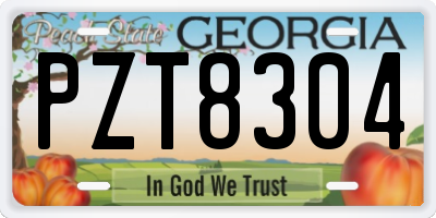 GA license plate PZT8304