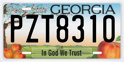 GA license plate PZT8310