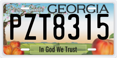 GA license plate PZT8315
