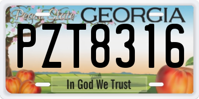 GA license plate PZT8316