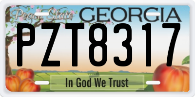 GA license plate PZT8317