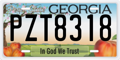 GA license plate PZT8318