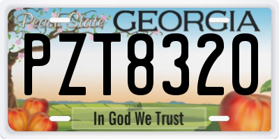 GA license plate PZT8320