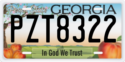 GA license plate PZT8322