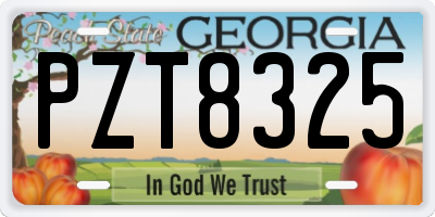 GA license plate PZT8325