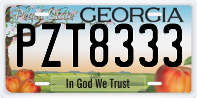 GA license plate PZT8333