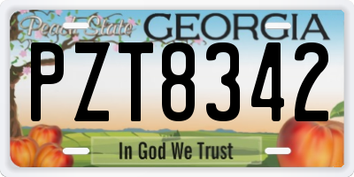 GA license plate PZT8342