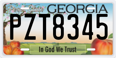 GA license plate PZT8345