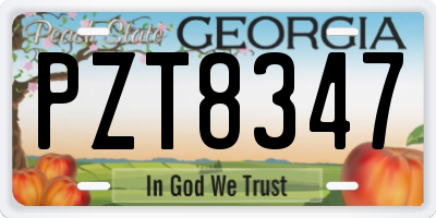 GA license plate PZT8347