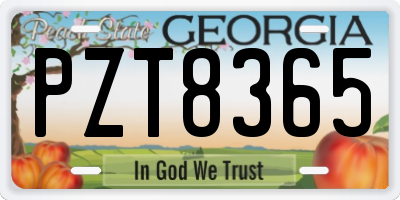 GA license plate PZT8365