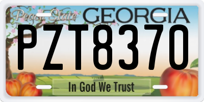 GA license plate PZT8370