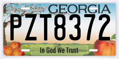 GA license plate PZT8372
