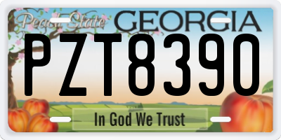 GA license plate PZT8390