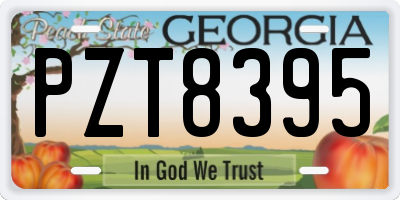 GA license plate PZT8395