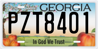 GA license plate PZT8401