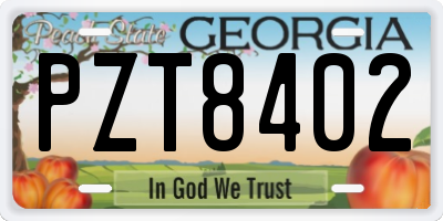 GA license plate PZT8402