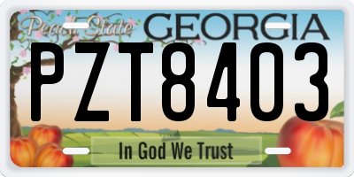 GA license plate PZT8403