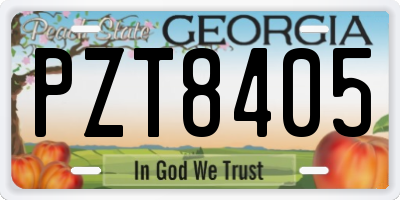GA license plate PZT8405