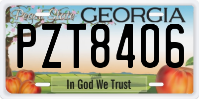GA license plate PZT8406