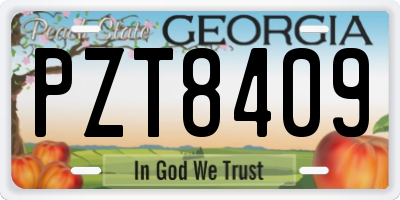 GA license plate PZT8409