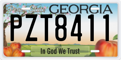 GA license plate PZT8411