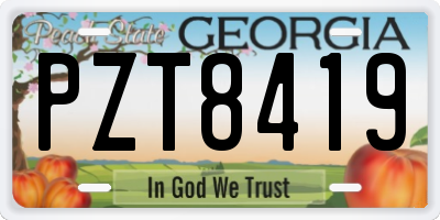 GA license plate PZT8419