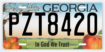 GA license plate PZT8420