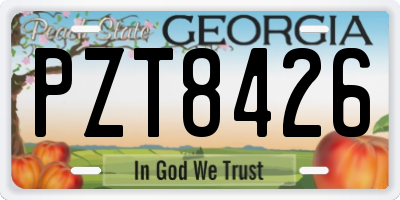 GA license plate PZT8426