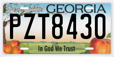 GA license plate PZT8430