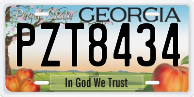 GA license plate PZT8434