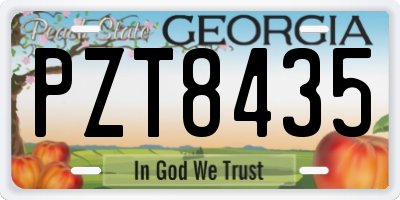 GA license plate PZT8435