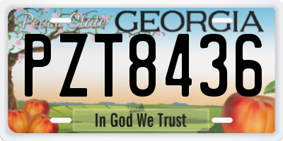 GA license plate PZT8436