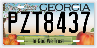 GA license plate PZT8437