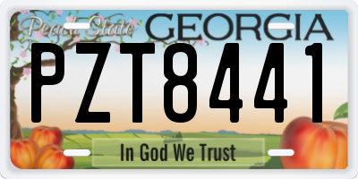 GA license plate PZT8441