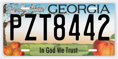 GA license plate PZT8442