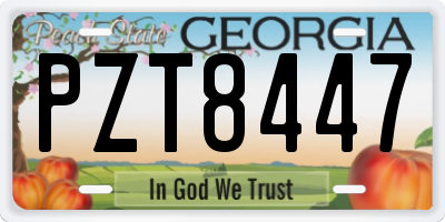 GA license plate PZT8447