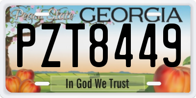 GA license plate PZT8449