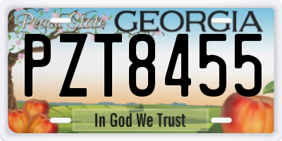 GA license plate PZT8455