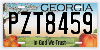 GA license plate PZT8459