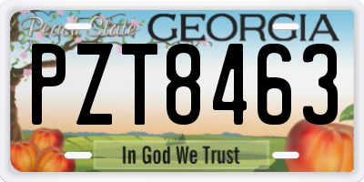 GA license plate PZT8463