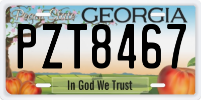 GA license plate PZT8467
