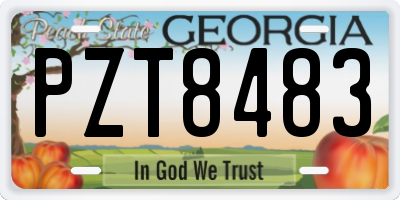 GA license plate PZT8483