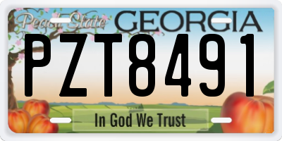 GA license plate PZT8491