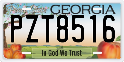 GA license plate PZT8516