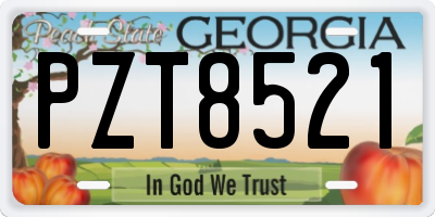 GA license plate PZT8521