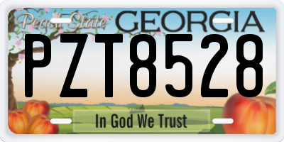 GA license plate PZT8528