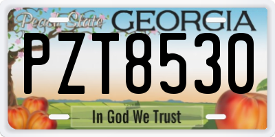 GA license plate PZT8530