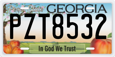GA license plate PZT8532